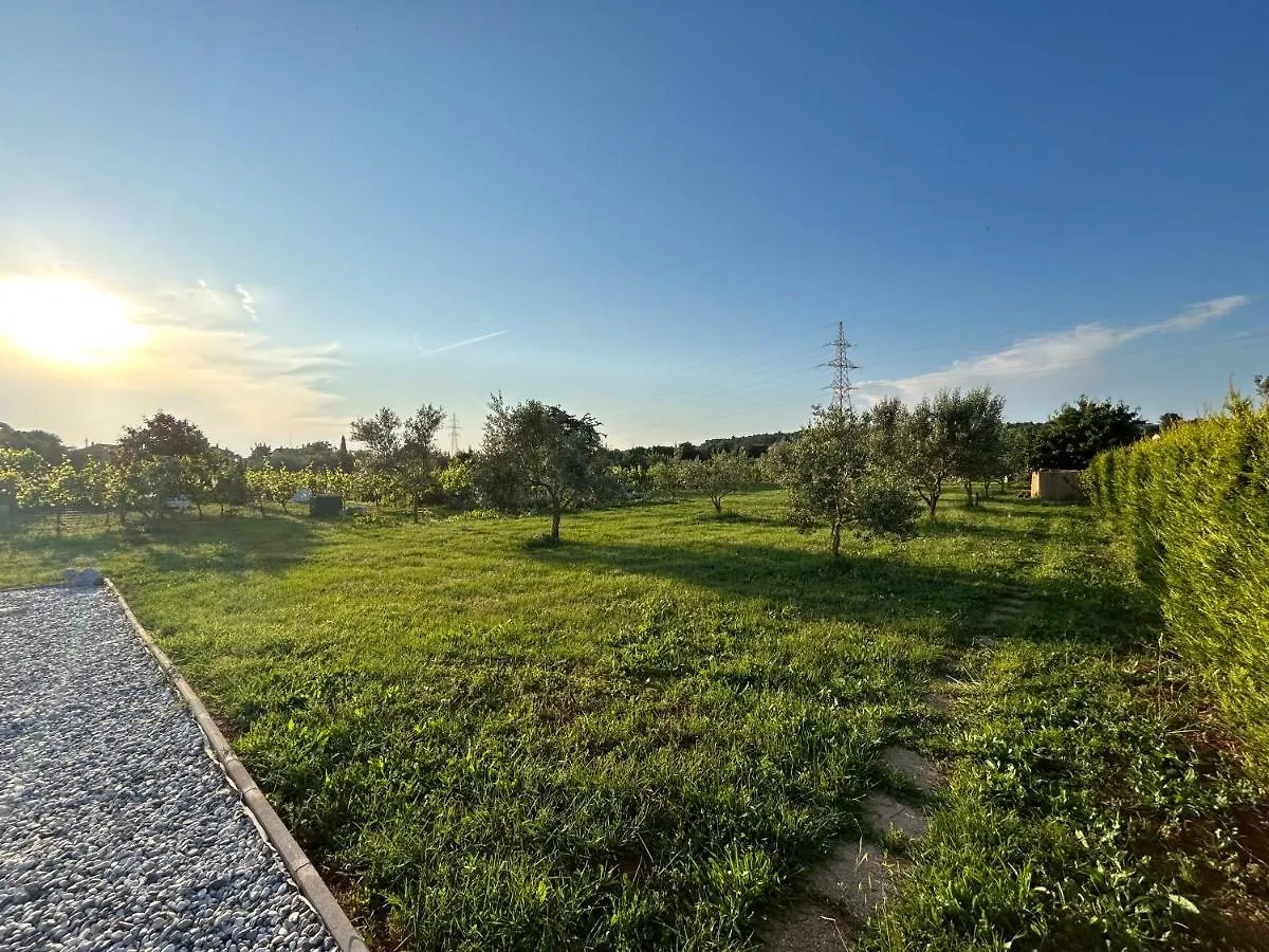 Nyaraló Dora House With Wifi And Outdoor Swimming Pool Villa Póla
